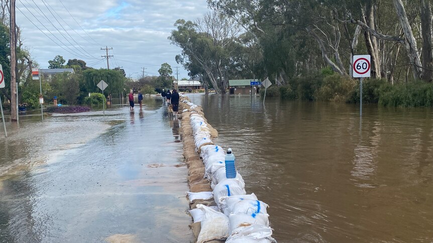 Flooding on either side of sandbags on a road.