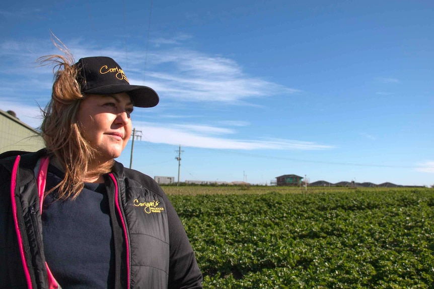 Farmer Deborah Corrigan looks over one of her crops, with a new housing development in the background.