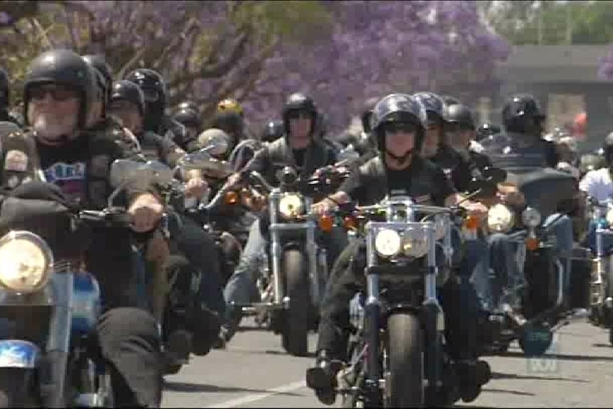 New laws for criminal bikie gangs