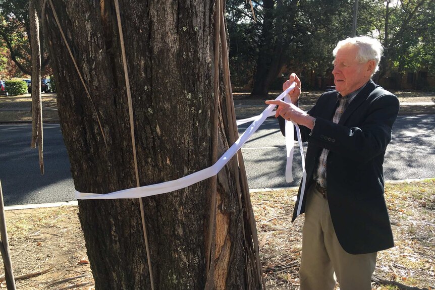 John Smith ties a ribbon around the tree.