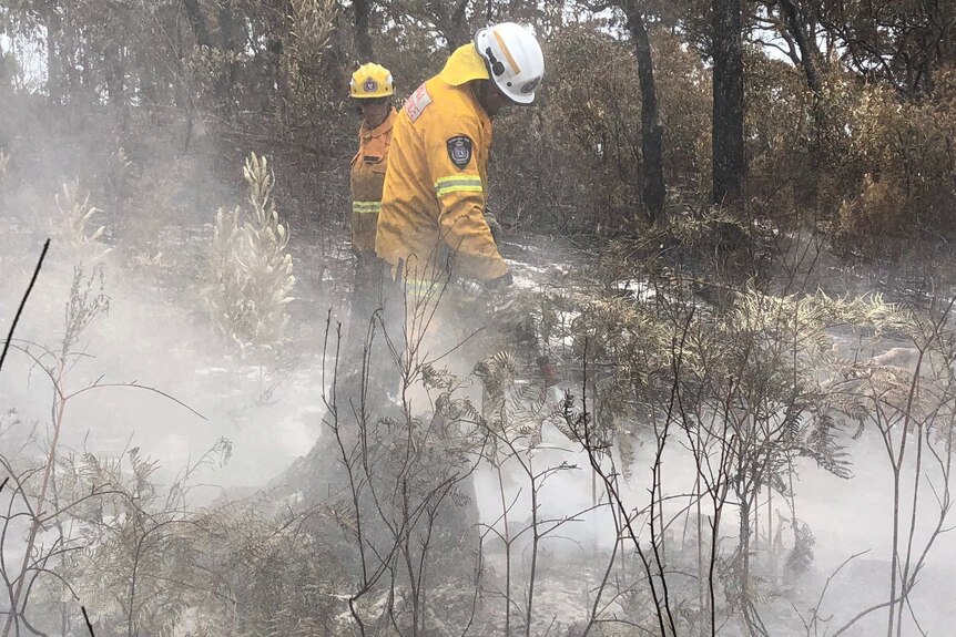 QFES firefighters extinguishing fires in bushland.
