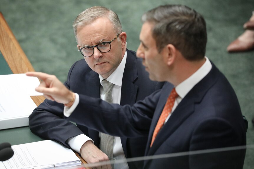 Anthony Albanese looks at Jim Chalmers in parliament. 