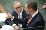 Anthony Albanese looks at Jim Chalmers in parliament. 