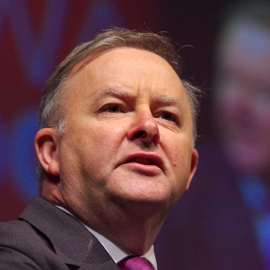 Anthony Albanese delivering his keynote speech at the conference.