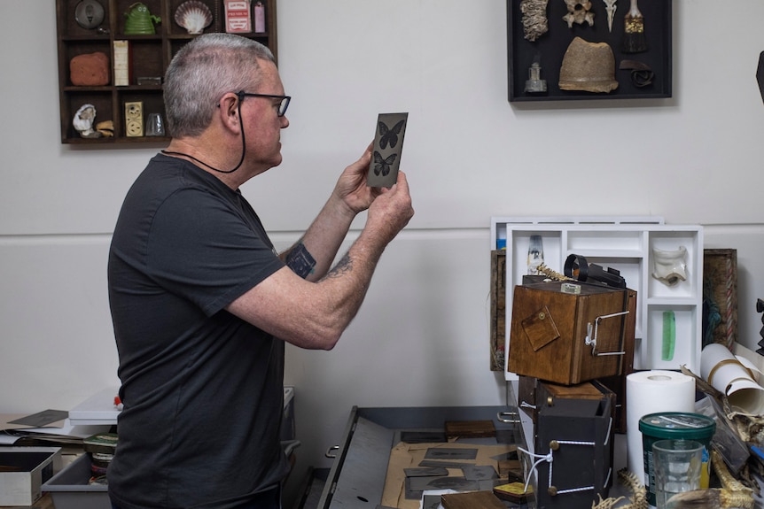 A man looks at a photograph of butterflies surrounded by his photographic equipment.