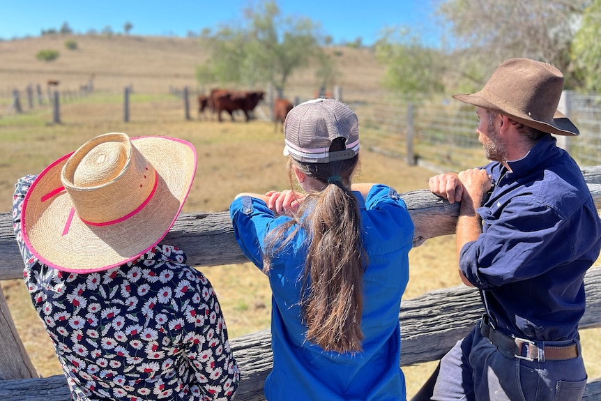 A woman, teenage girl and man with their back to the camera look out over a paddock with red cattle in it