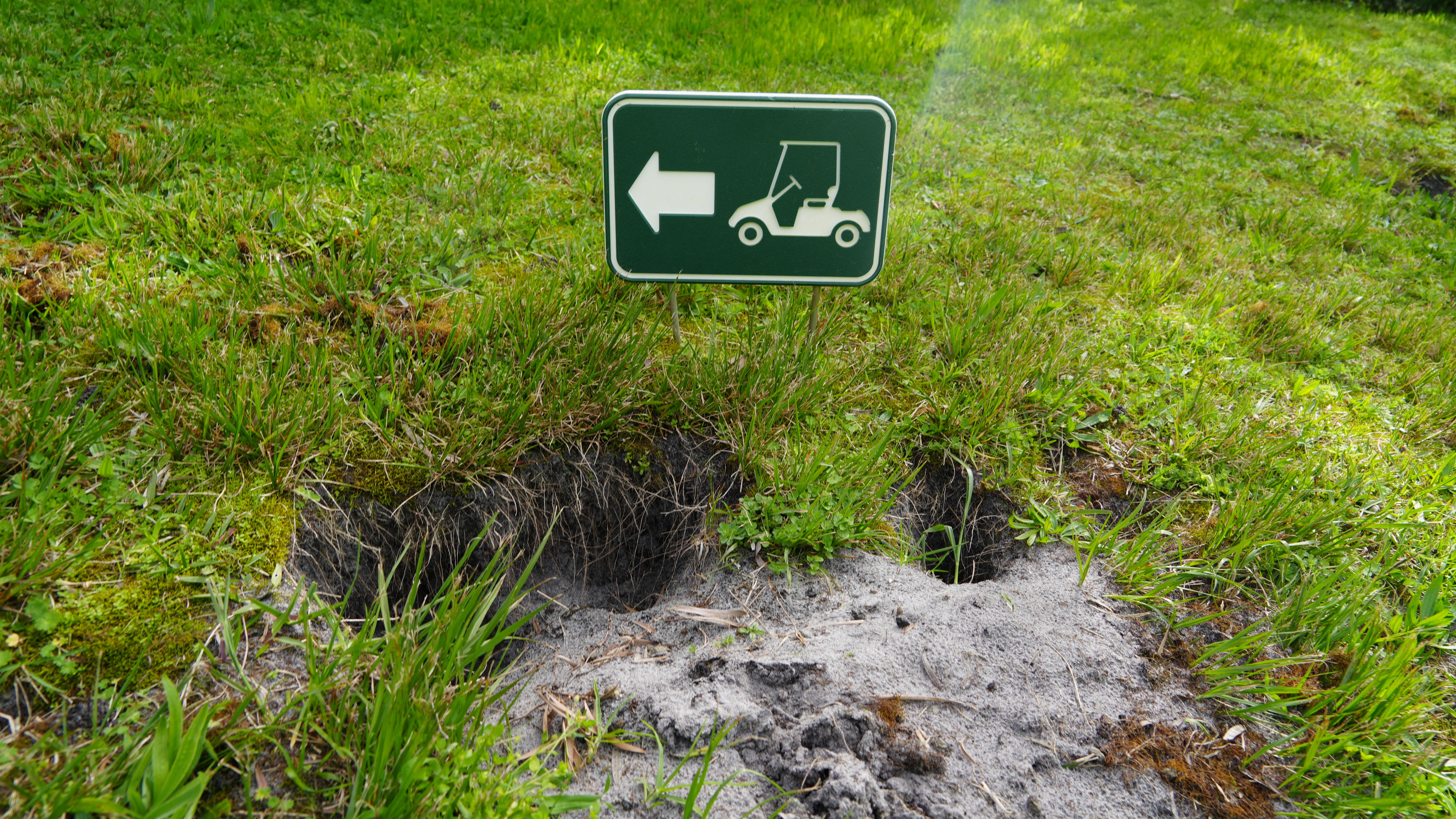 A hole in green grass with a warning side for gold buggies to avoid.