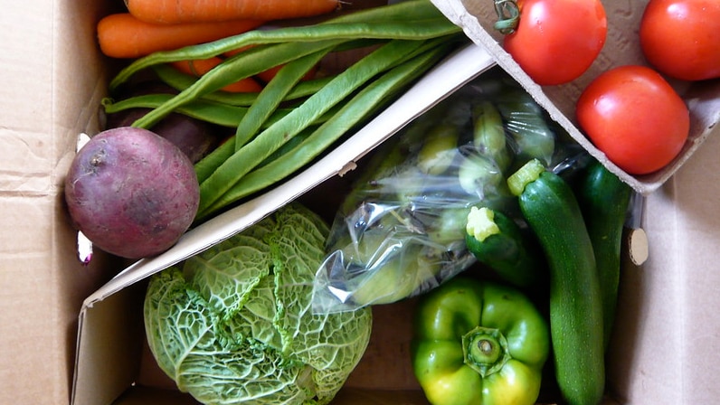Veggie box containing tomatoes, zucchini and other produce