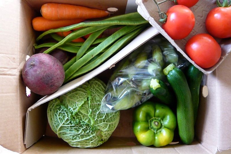 Veggie box containing tomatoes, zucchini and other produce