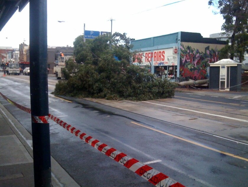 Vic hit by 100kph winds - ABC News