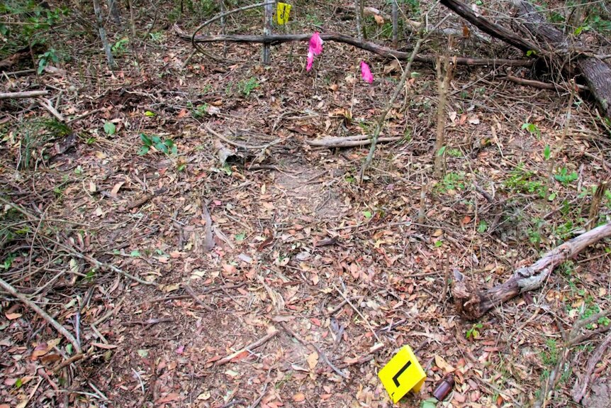 photograph of police markers in the bush where the remains were found