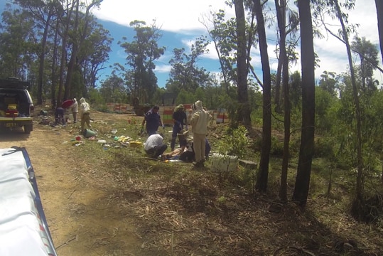 Paramedics treat three beekeepers who were injured after a hit and run accident in the Dalmorton state forest near Grafton