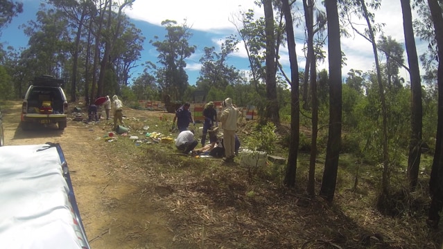 Paramedics treat three beekeepers who were injured after a hit and run accident in the Dalmorton state forest near Grafton