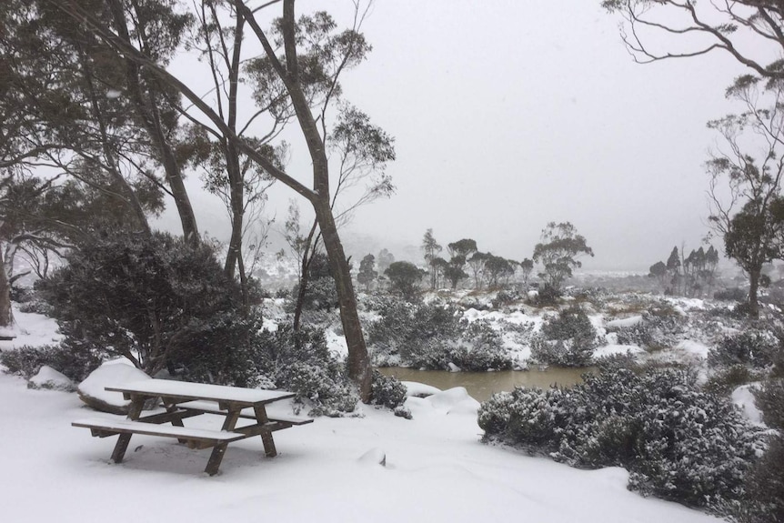 Picnic table at Mt Field in snow.