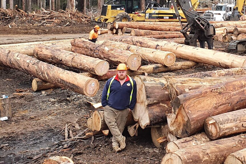 Brett Robin stands in the forest, surrounded by harvested timber