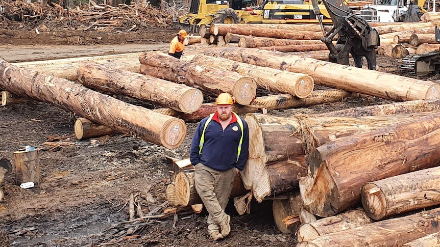 Brett Robin stands in the forest, surrounded by harvested timber
