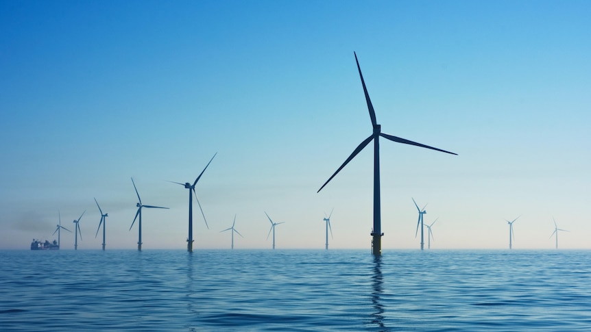 Offshore, wind, electricity, energy