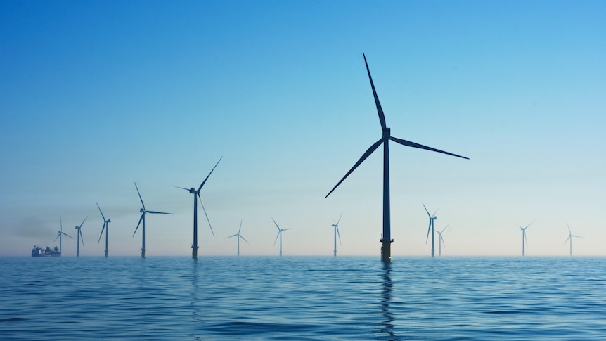 Offshore wind turbines in the ocean, with a blue sky overhead.