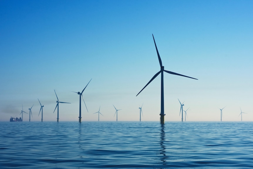 Offshore wind turbines in the ocean, with a blue sky overhead.