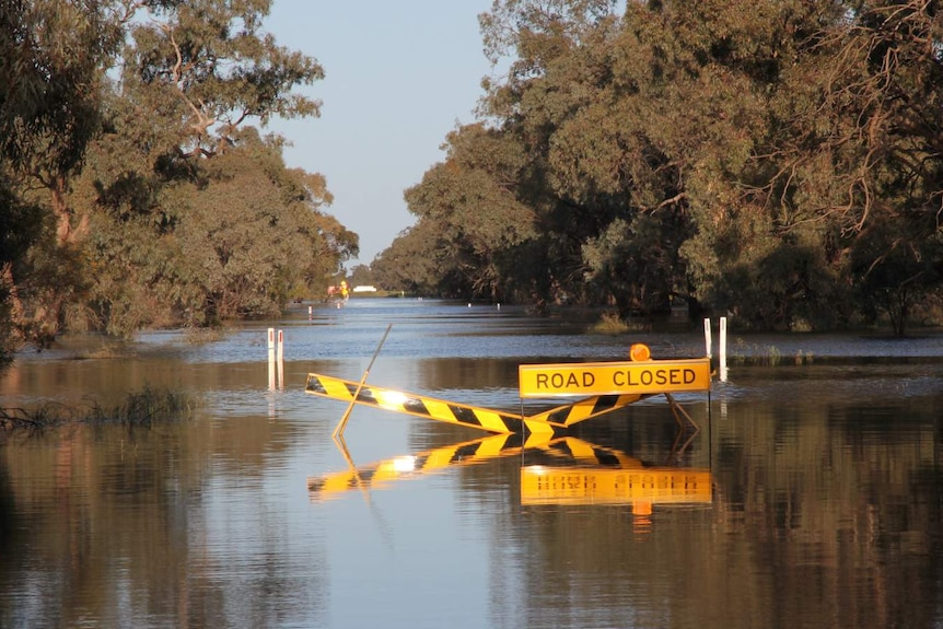Roads around the Forbes shire remain closed after recent flooding.