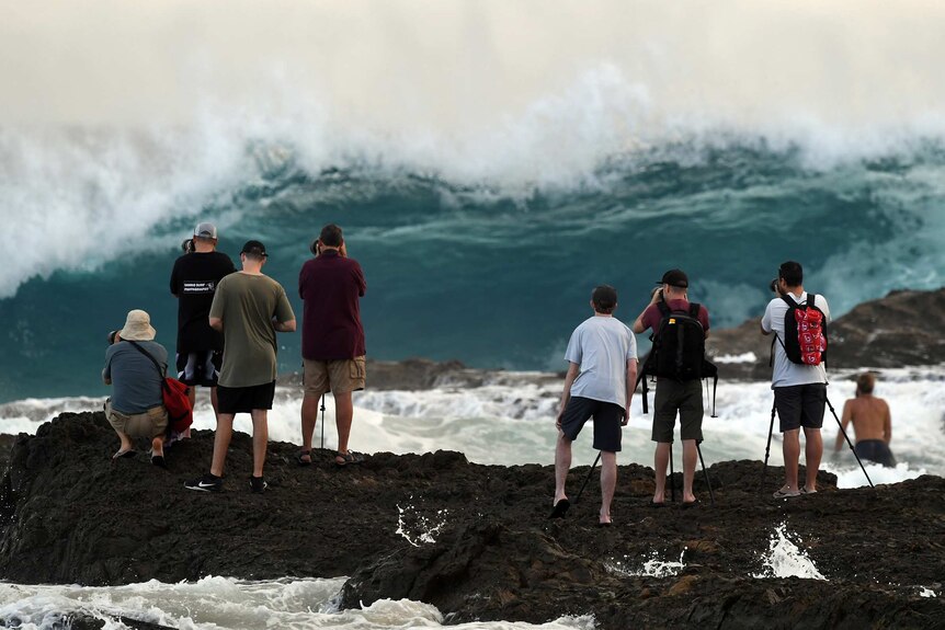 Photographers are seen at Snapper Rocks on the Gold Coast with a large wave behind them.