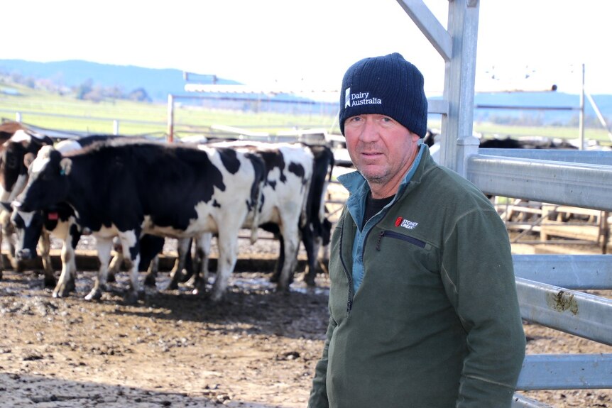A man in a beanie stands in front of cattle  at a dairy farm