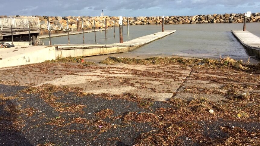 Sea grass and rubbish washed up at West Beach boat ramp.