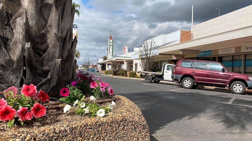 Small flower garden and parked cars in the main street of Goondiwindi. 