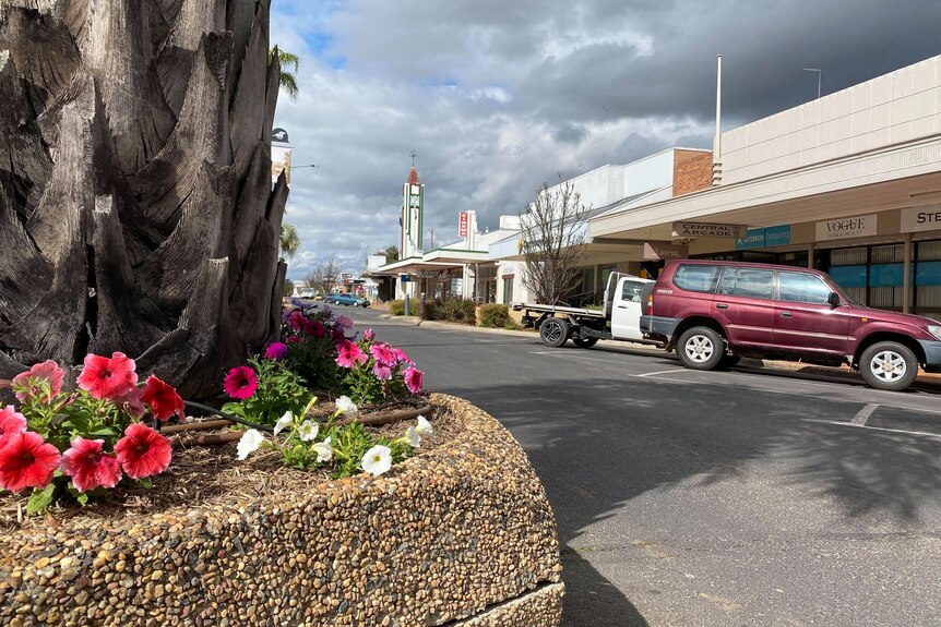 Small flower garden and parked cars in the main street of Goondiwindi. 