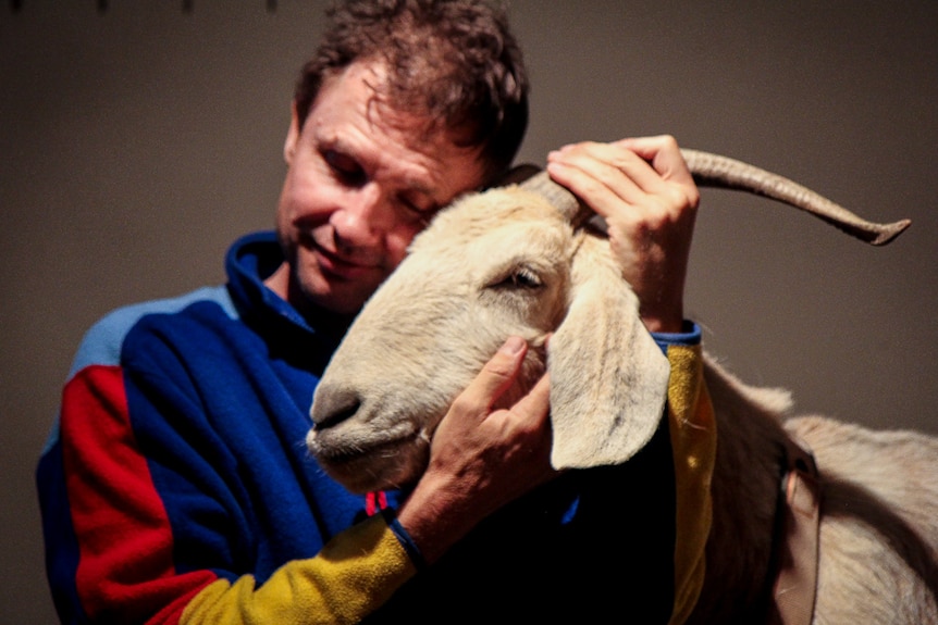 Australia's most famous goat Gary and his owner Jimbo in Sydney, 2016