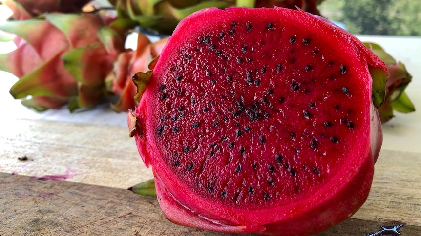  A close up shot of a sliced dragon fruit with its vibrant red interior and tiny black seeds.