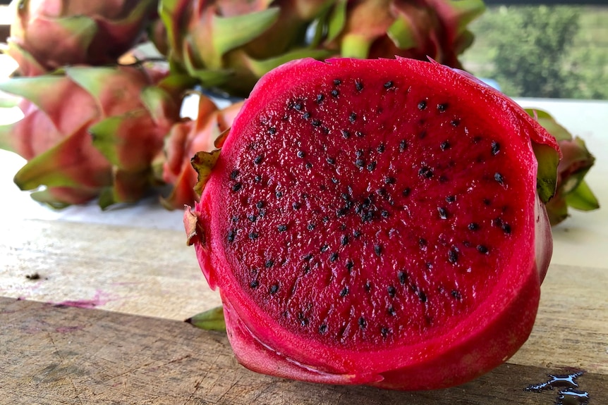  A close up shot of a sliced dragon fruit with its vibrant red interior and tiny black seeds.