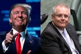 A composite of Trump smiling and pointing and Scott Morrison smiling.