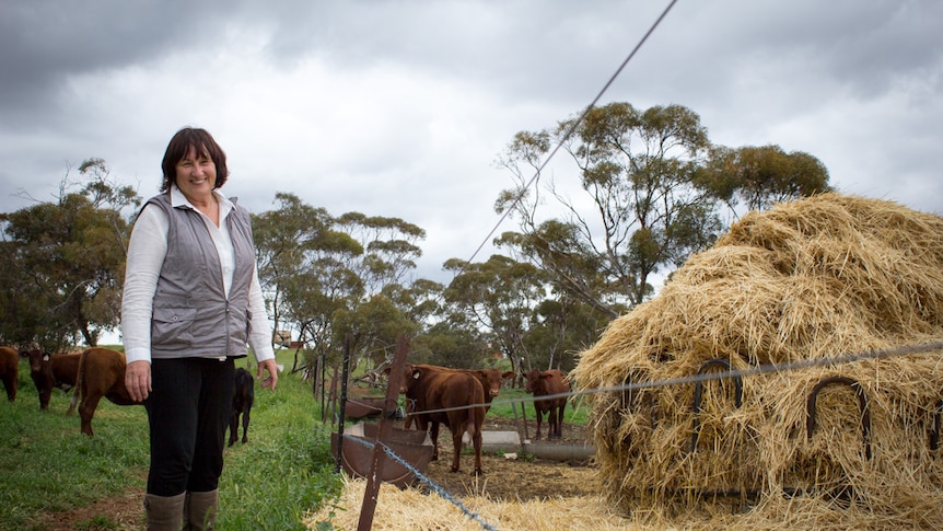 Pauline Johnston stands near hay bales with cows grazing in the background.