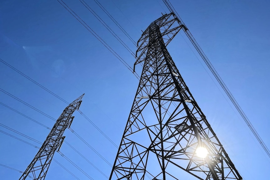 View directly up at two power poles in Queensland. Stretton Recreation Reserve.