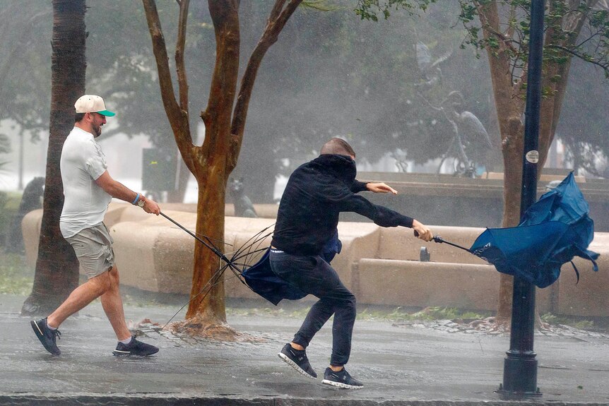 Wind tears umbrellas out of the hands of two men.