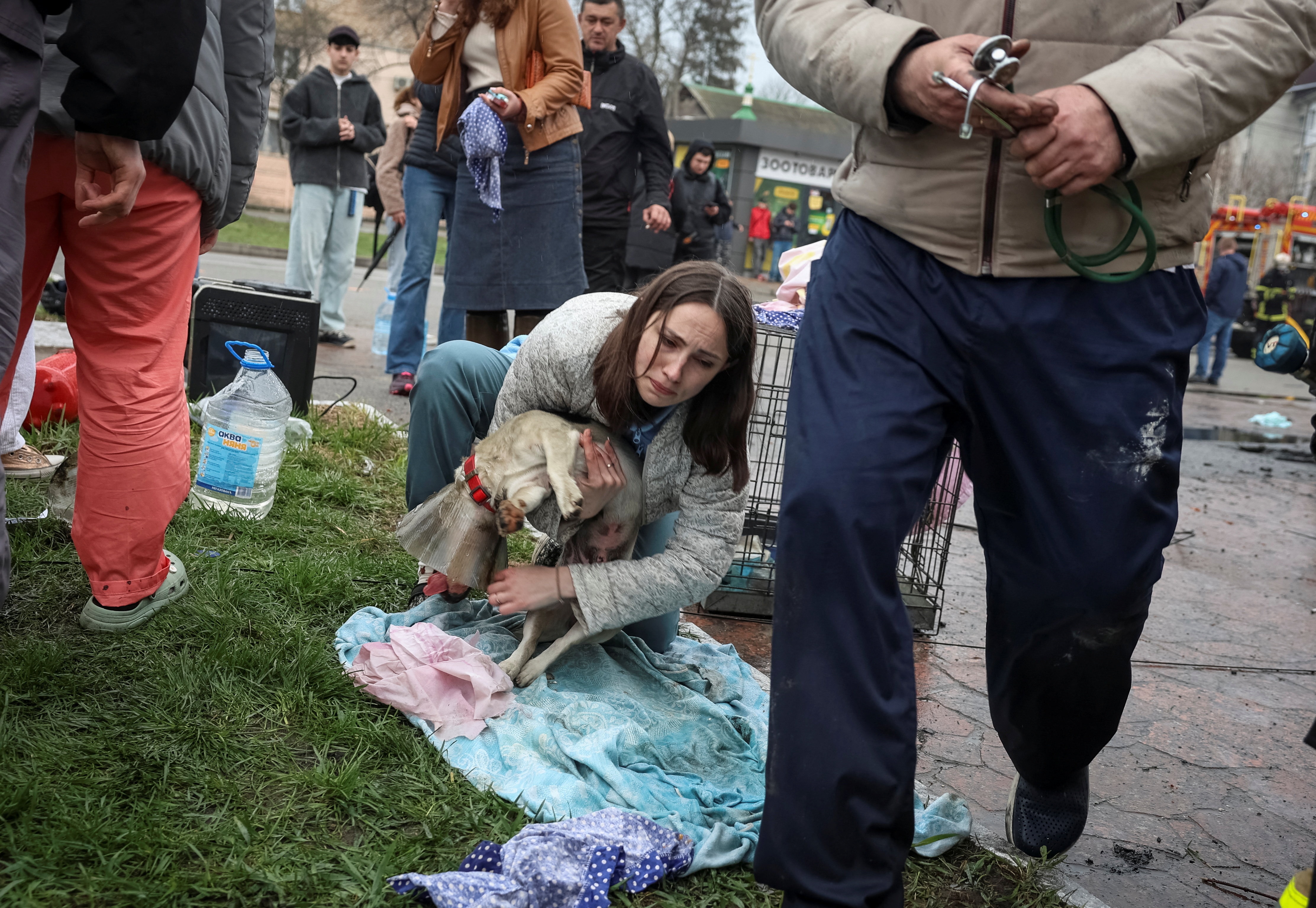 Una mujer parece angustiada mientras está agachada en un césped lleno de gente, sosteniendo a un perro que lleva un cono.