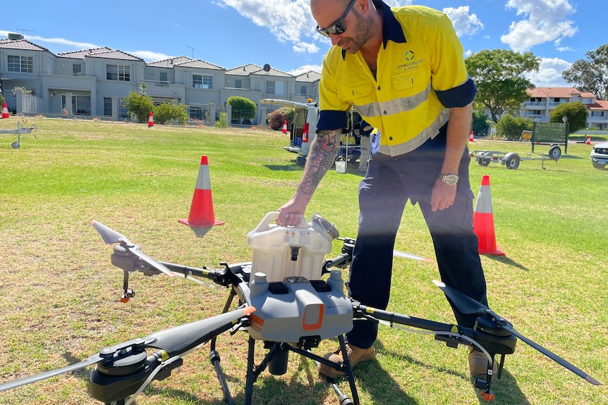 Drones armed with mozzie-killing chemicals in wetlands battle with insects - ABC News