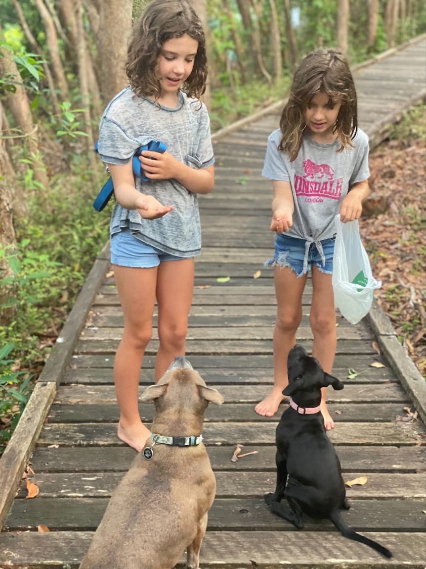 two young girls hold their hands out to two dogs sitting at their feet