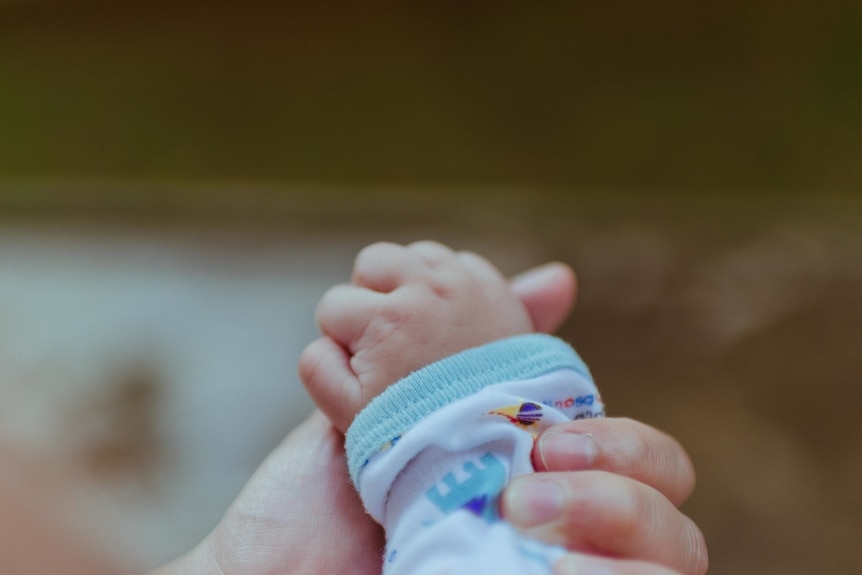 A mother holds her baby's hand.