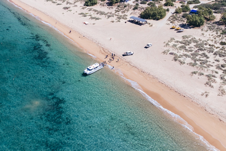 A large boat and group of swimmers on a beach next to clear blue water 