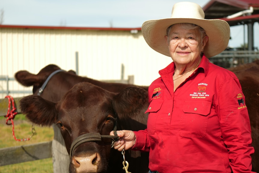 A woman stands in a red shirt with a cow.