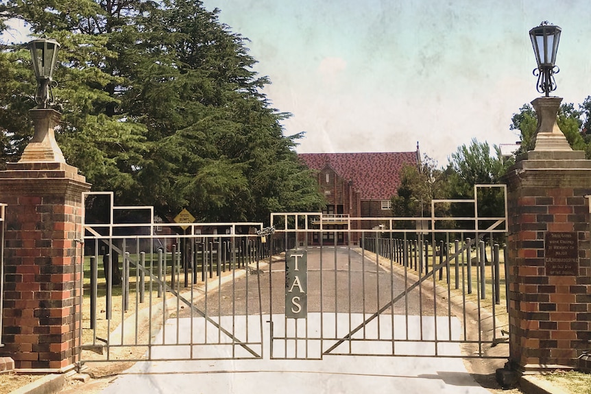 Large metal gates with the letters T-A-S are closed across a long driveway which leads to a large, brick building.