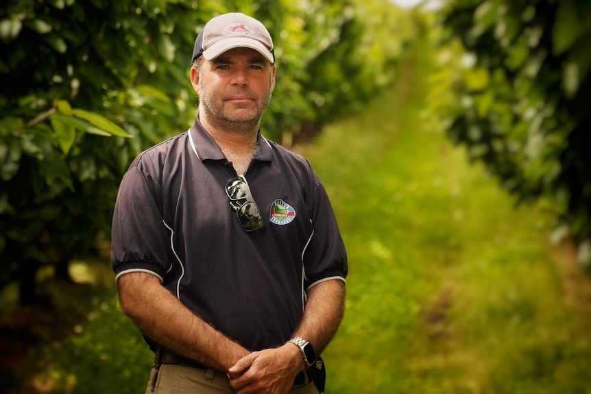 A man is standing in an orchard looking at the camera with a grey hat on.