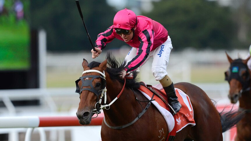 Sizzling wins Queensland Guineas