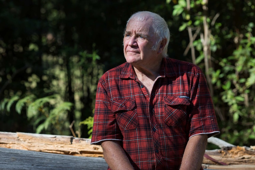 An old man with a red checked shirt and bright blue eyes sits on a log in a slice of sunlight.
