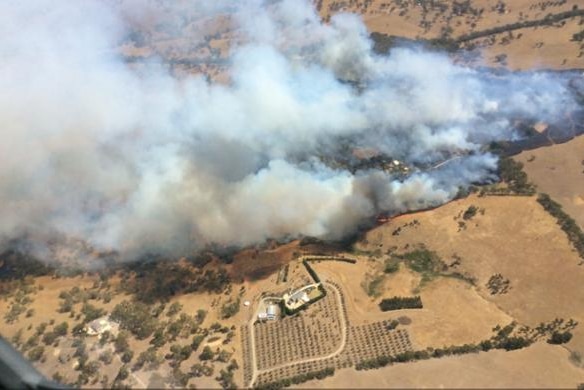 CFS photo of fire at Mosquito Hill
