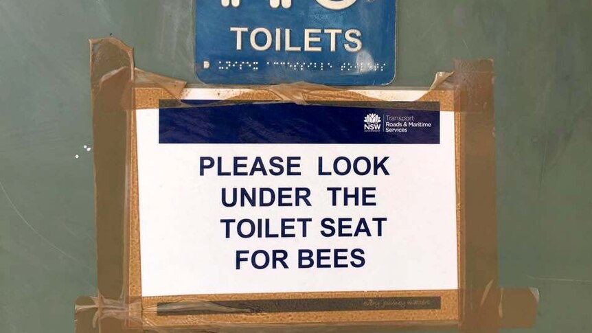 Sign stating "Please look under the toilet seat for bees" in a toilet block in Broken Hill.