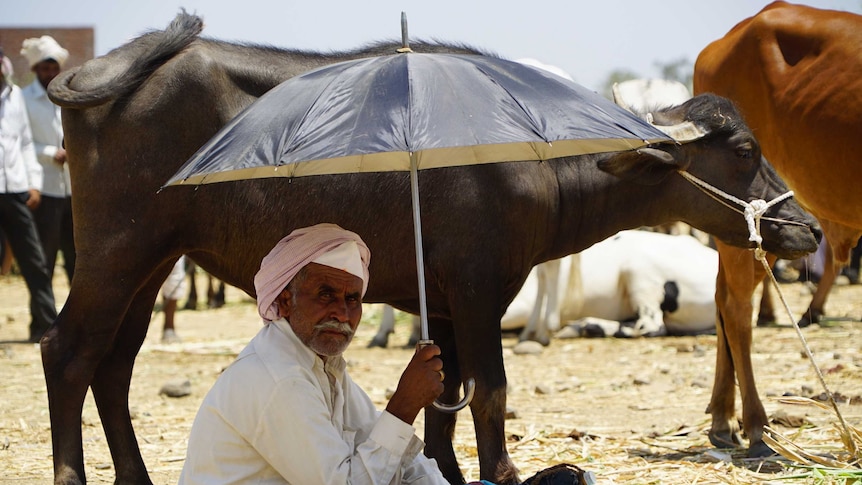 An Indian farmer holds an umbrella.