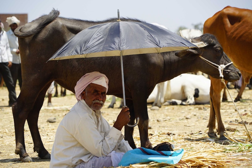 An Indian farmer holds an umbrella.